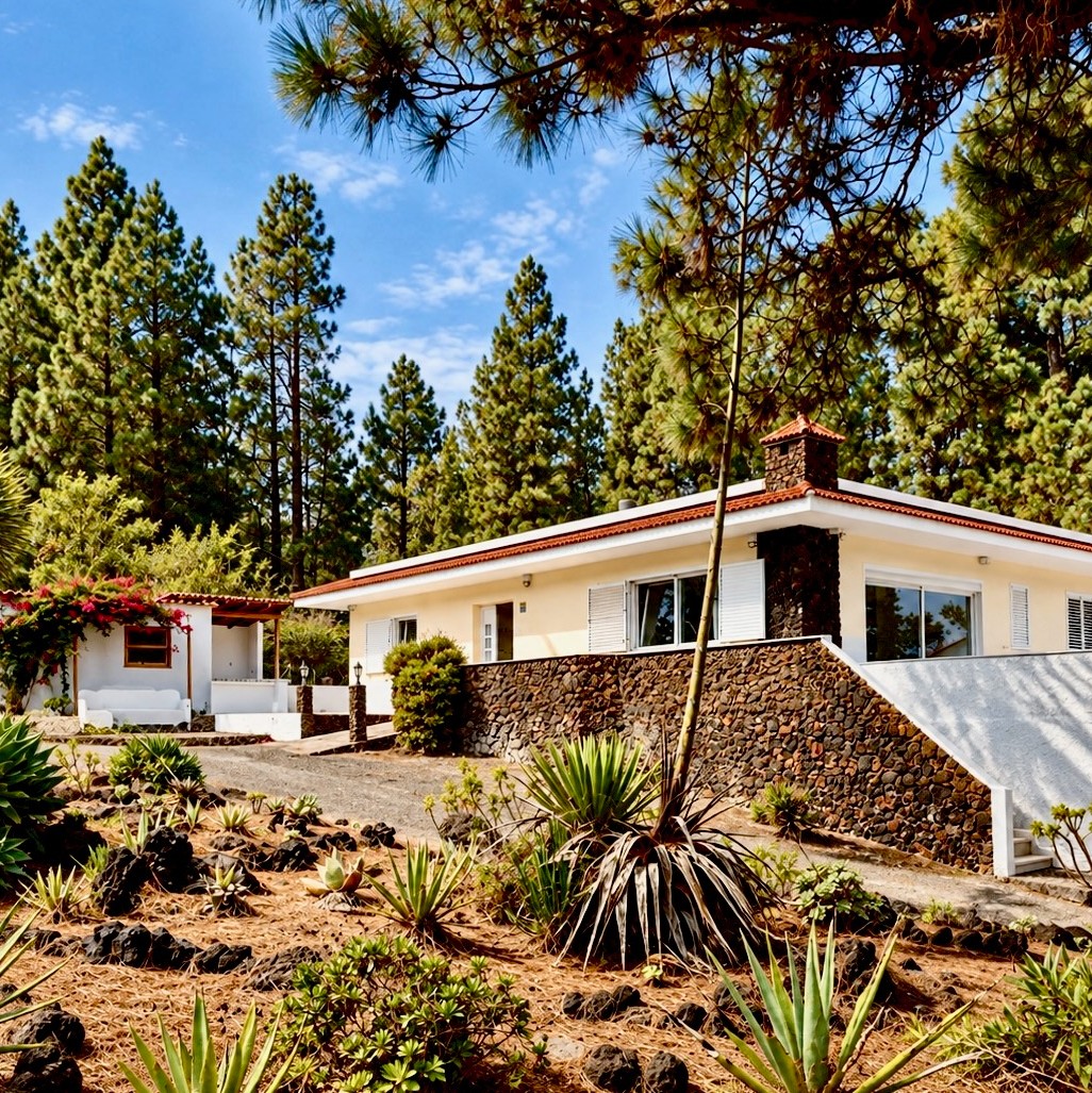 Finca La Montañeta 5 Bed