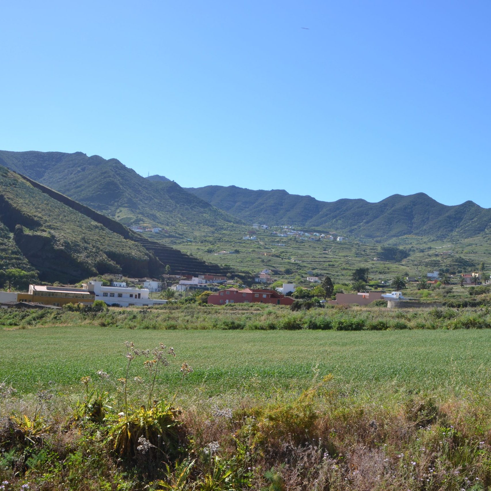 Casa Rural El Palmar 2D
